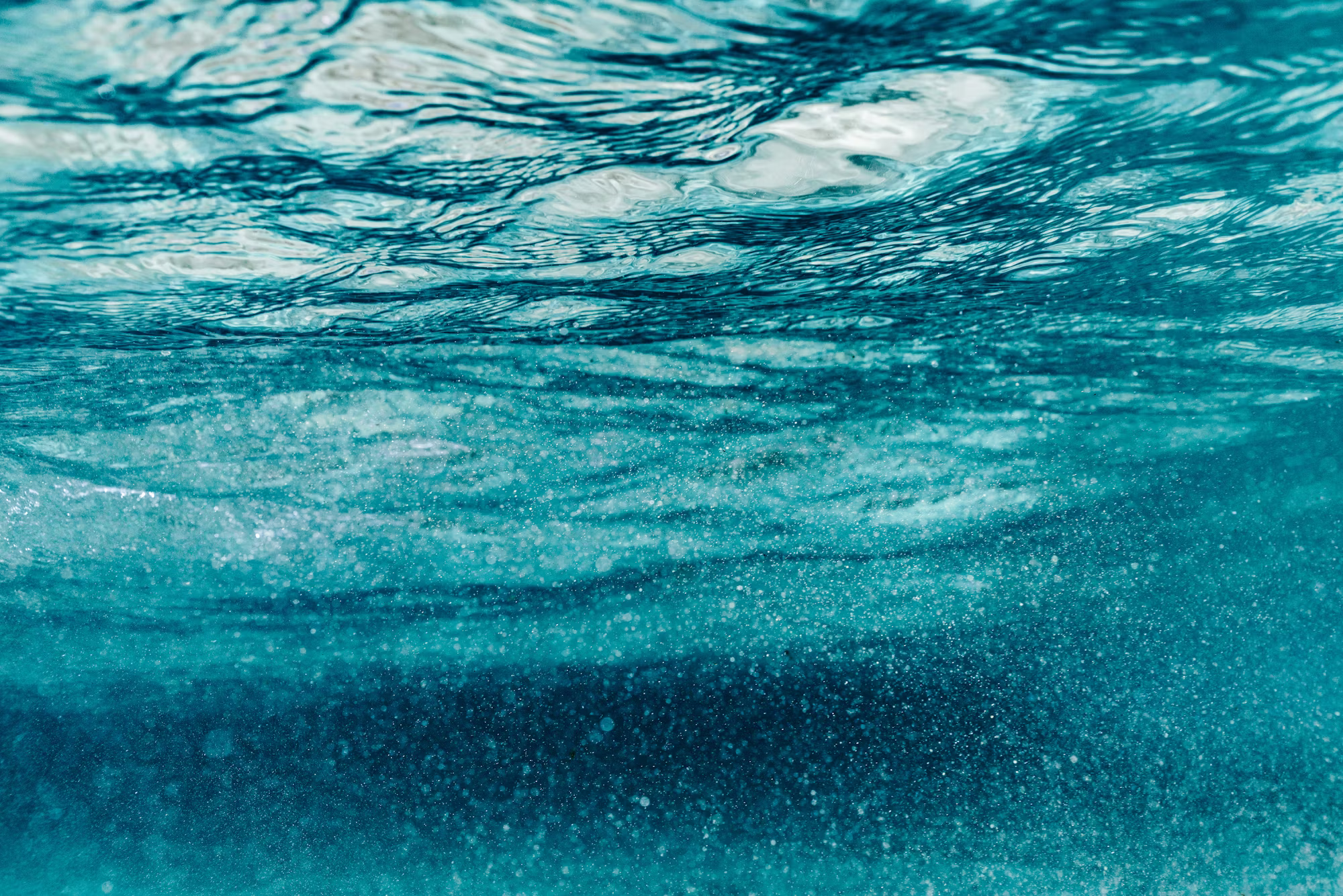 Exploring the Unique Ecosystems of the World’s Coastal Regions Exploring the Unique Ecosystems of the World’s Coastal Regions